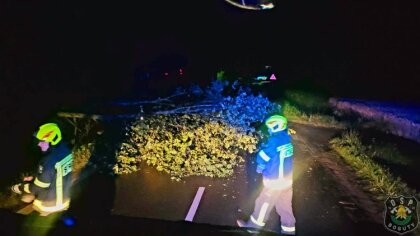 Ostrów Mazowiecka - Funkcjonariusze KSRG w Bogutach-Piankach mieli bardzo pracow