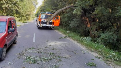 Ostrów Mazowiecka - 17 lipca 2023 r., o godzinie 8.09 funkcjonariusze KSRG OSP A