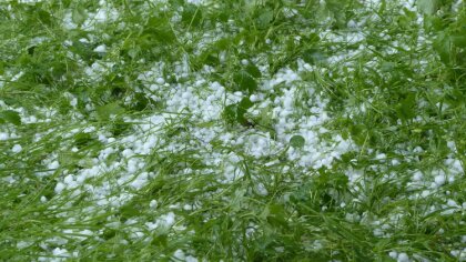 Ostrów Mazowiecka - Centralne Biuro Prognoz Meteorologicznych w Warszawie w  śro