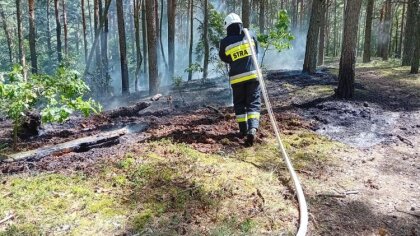 Ostrów Mazowiecka - W piątek 4 sierpnia o godzinie 13:07 Ochotnicza Straż Pożarn