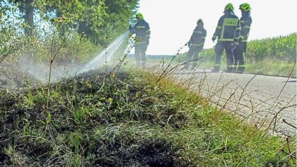 Ostrów Mazowiecka - We wtorek 15 sierpnia o godzinie 16:40 Ochotnicza Straż Poża