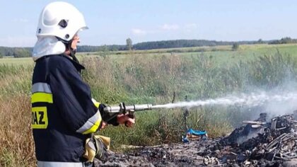 Ostrów Mazowiecka - W poniedziałek 21 sierpnia 2023 roku o godzinie 15.14 straża