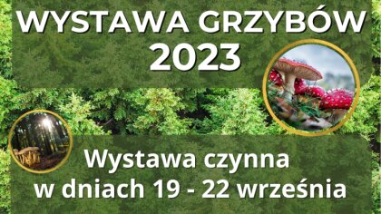 Ostrów Mazowiecka - Czy fascynują cię grzyby i tajemnice lasu? Jeżeli tak, to z 