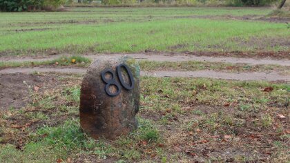 Ostrów Mazowiecka - Witajcie ponownie, wszyscy mistrzowie puzzli!
[foto]36408[/