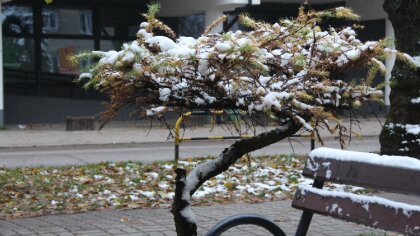 Ostrów Mazowiecka - Witajcie kolejny raz, znawcy lokalnych okolic!
[foto]37041[