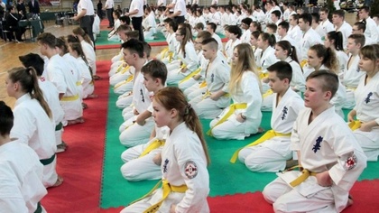 Ostrów Mazowiecka - Reprezentanci Ostrowskiego Klubu Karate Kyokushin zapisali n