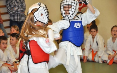 Ostrów Mazowiecka - Po raz piętnasty w dojo Ostrowskiego Klubu Karate Kyokushin 