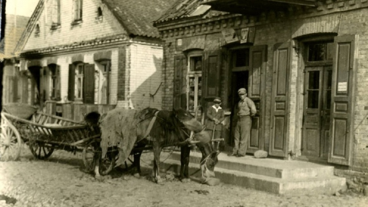 towarzyskie ostrow maz