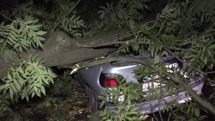 Ostrów Mazowiecka - Ponad 10 tysięcy razy interweniowali strażacy w związku z wi