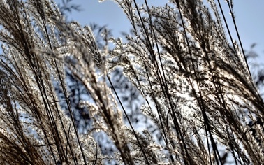 Ostrów Mazowiecka - Instytut Meteorologii i Gospodarki Wodnej wydał ostrzeżenie 