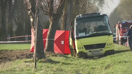 Ostrów Mazowiecka - Samochód ciężarowy zderzył się z autobusem na drodze krajowe