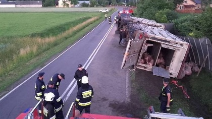 Ostrów Mazowiecka - Kierujący samochodem ciężarowym stracił panowanie nad pojazd